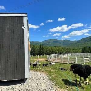 https://hopi-hills-farmstay.hokkaidohotelsjapan.com